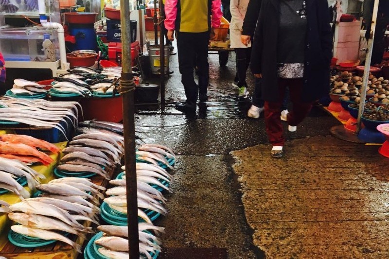 Jagalchi Market  (9/25)