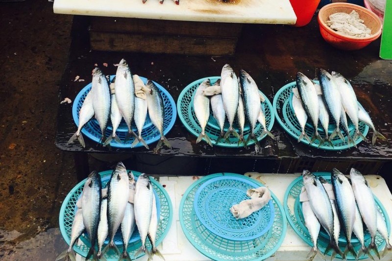 Jagalchi Market  (14/25)