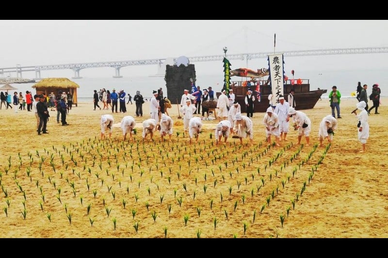 Gwangalli Eobang Festival  (16/25)