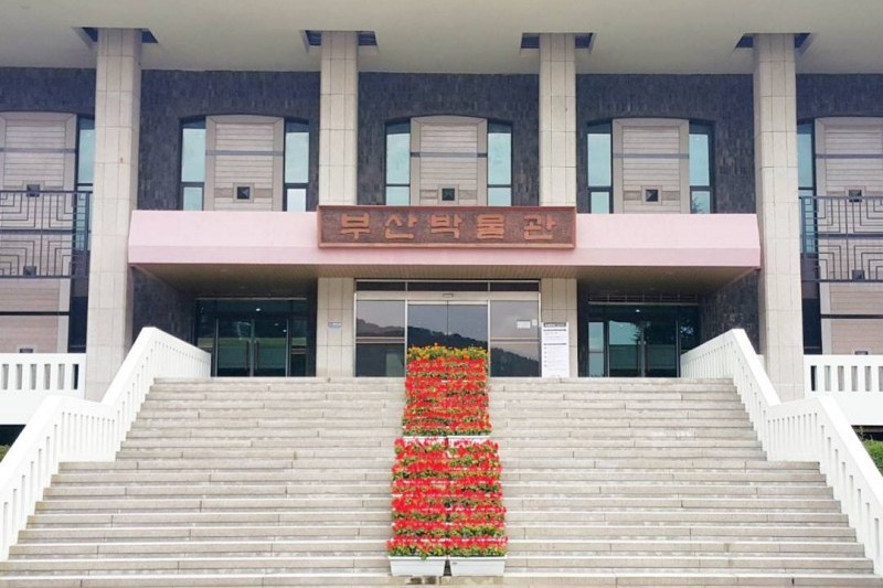 Busan Museum  (14/14)