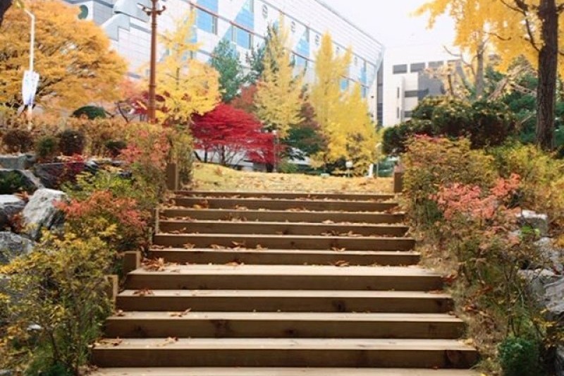 Seoul National University  (2/9)