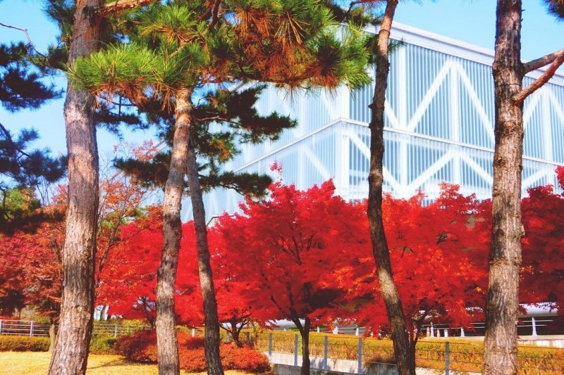 Seoul National University  (3/9)