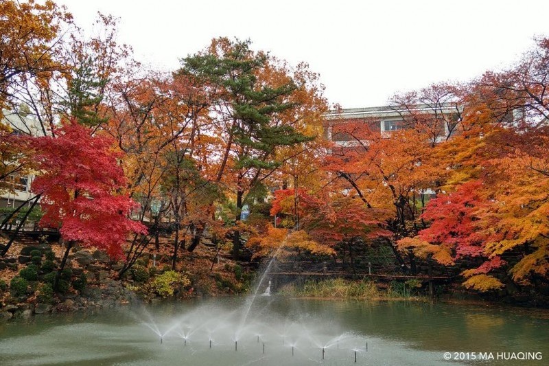 Seoul National University  (4/9)