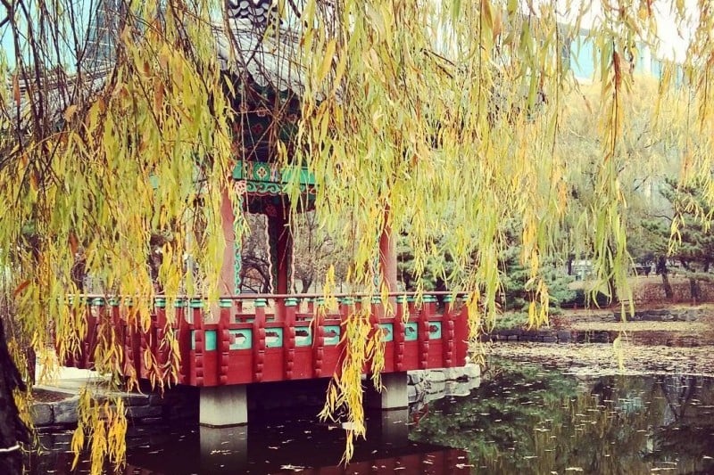 Yeouido Park (21/30)