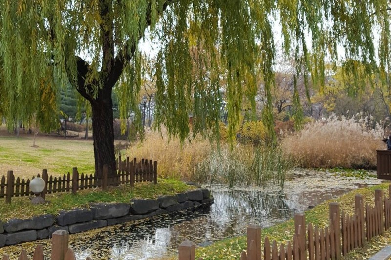 Yeouido Park (24/30)