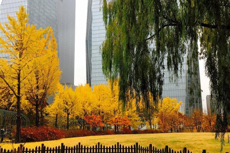 Yeouido Park (26/30)
