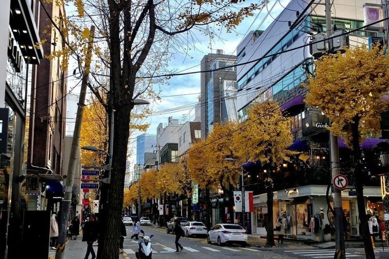 Sinsadong Garosu-gil Road (8/11)