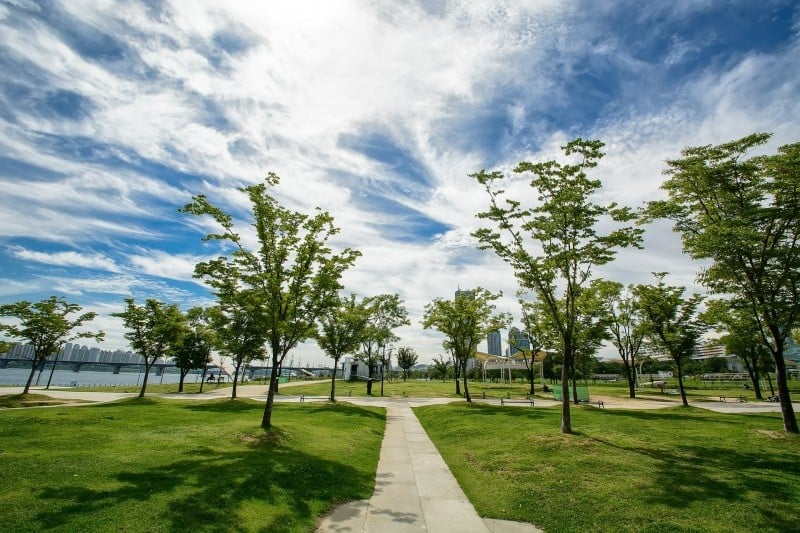 Yeouido Hangang Park (11/12)