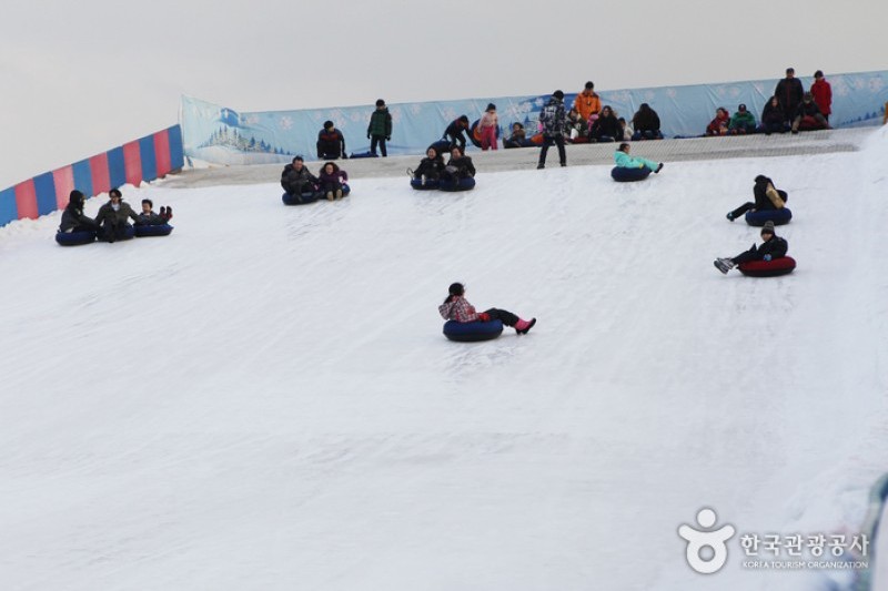 Ttukseom Hangang Park Sledding Hill (5/15)
