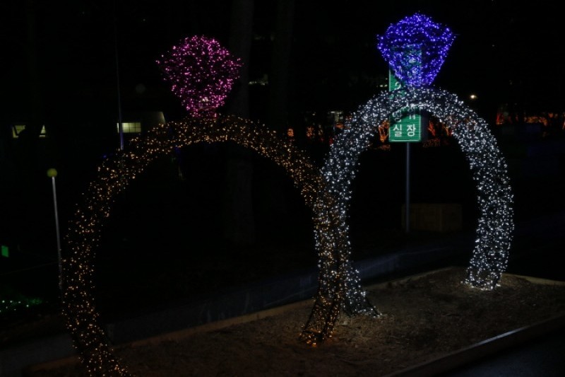 Boseong Green Tea Plantation Light Festival  (1/9)