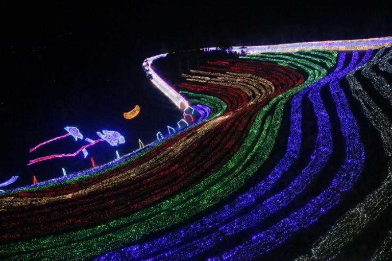 Boseong Green Tea Plantation Light Festival  (2/9)