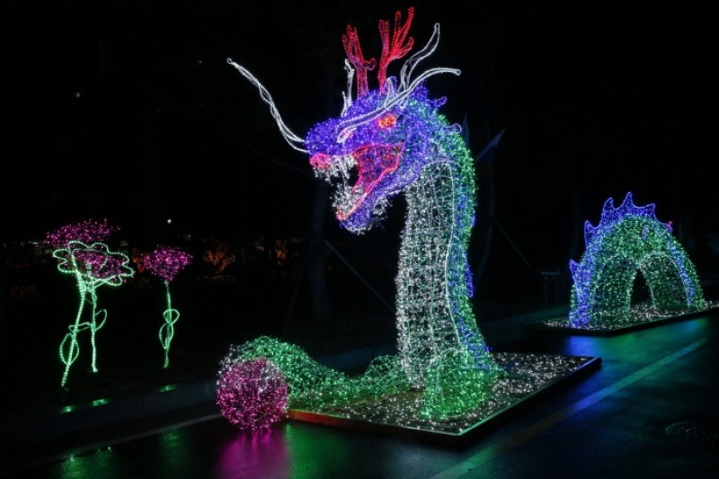 Boseong Green Tea Plantation Light Festival  (3/9)
