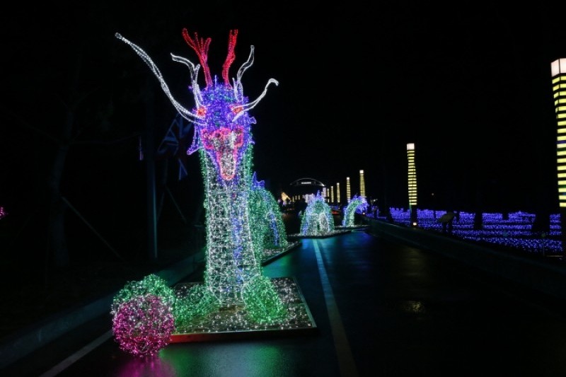 Boseong Green Tea Plantation Light Festival  (5/9)