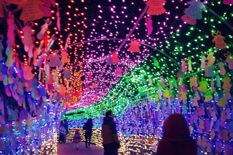 Boseong Green Tea Plantation Light Festival  (8/9)