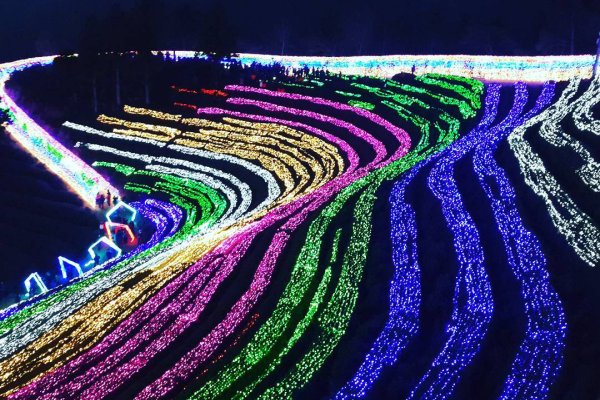 Boseong Green Tea Plantation Light Festival