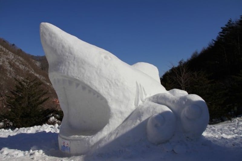 Taebaeksan Mountain Snow Festival  (2/11)