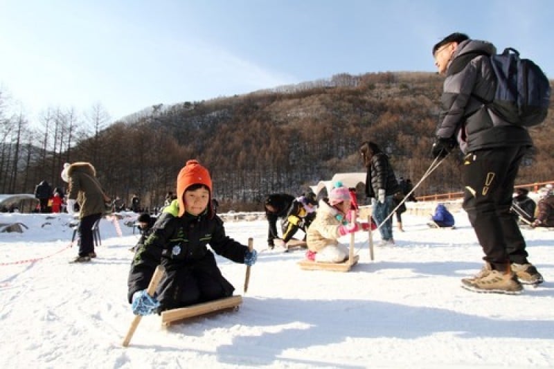 Taebaeksan Mountain Snow Festival  (6/11)