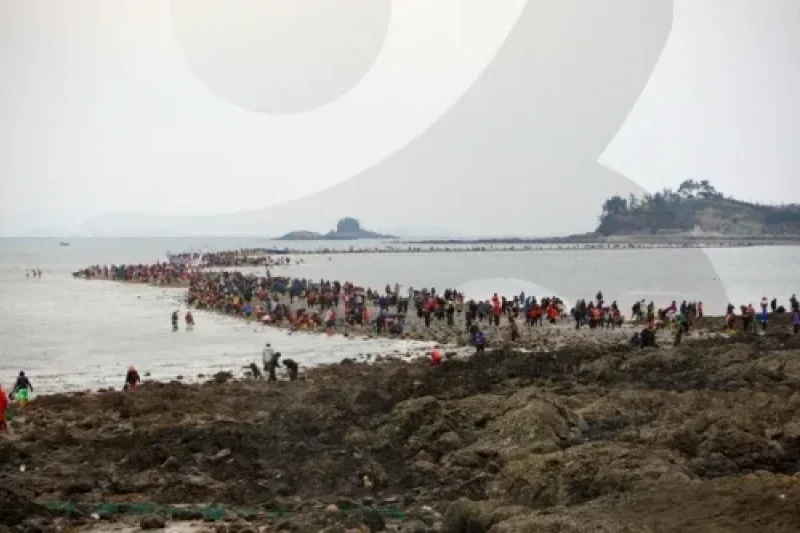 Jindo Island (진도) (3/3)