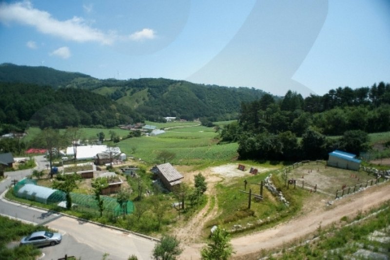 Daegwallyeong Snow Town  (1/5)