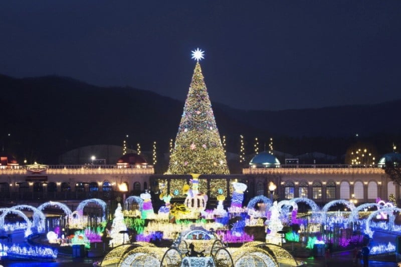 Everland Romantic Illumination  (1/5)
