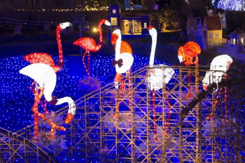 Everland Romantic Illumination  (2/5)
