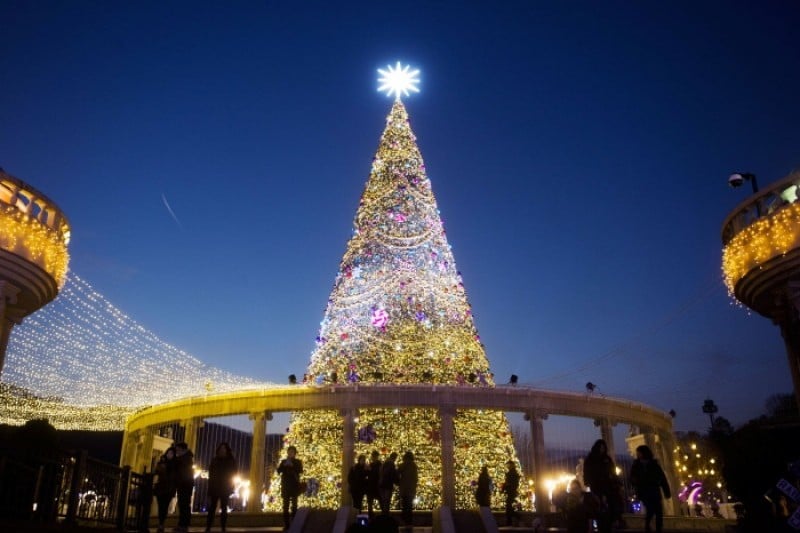 Everland Romantic Illumination  (3/5)