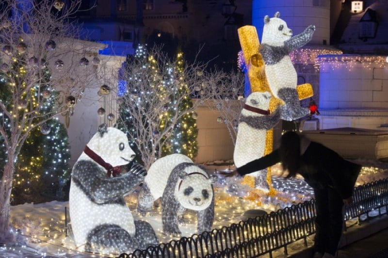 Everland Romantic Illumination  (5/5)
