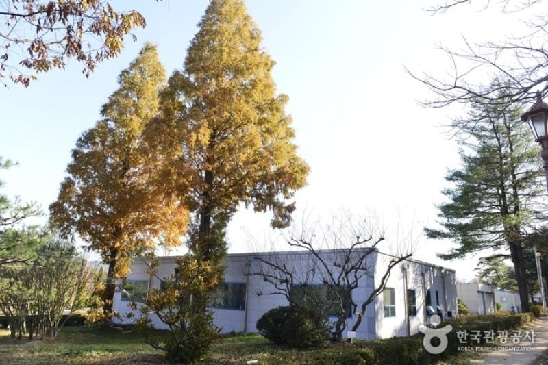 Gyeongsangbuk-do Forest Research Institute  (5/5)