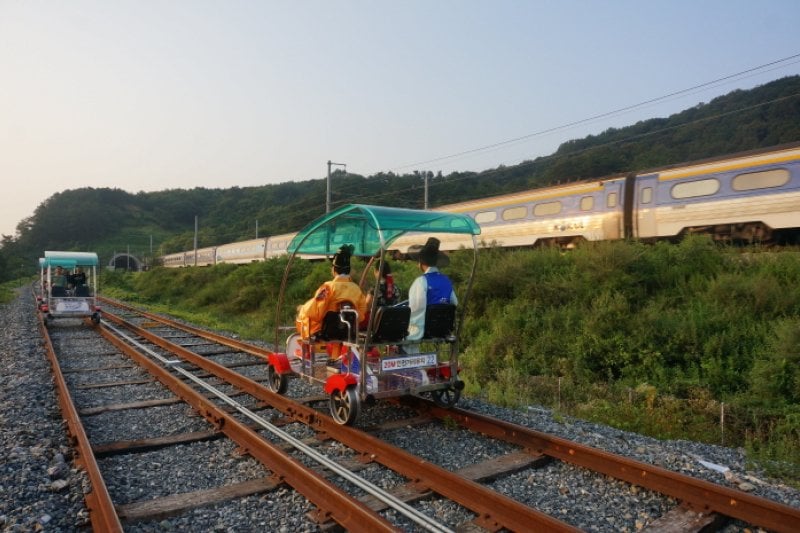 Jeonju Hanok Rail Bike  (1/9)
