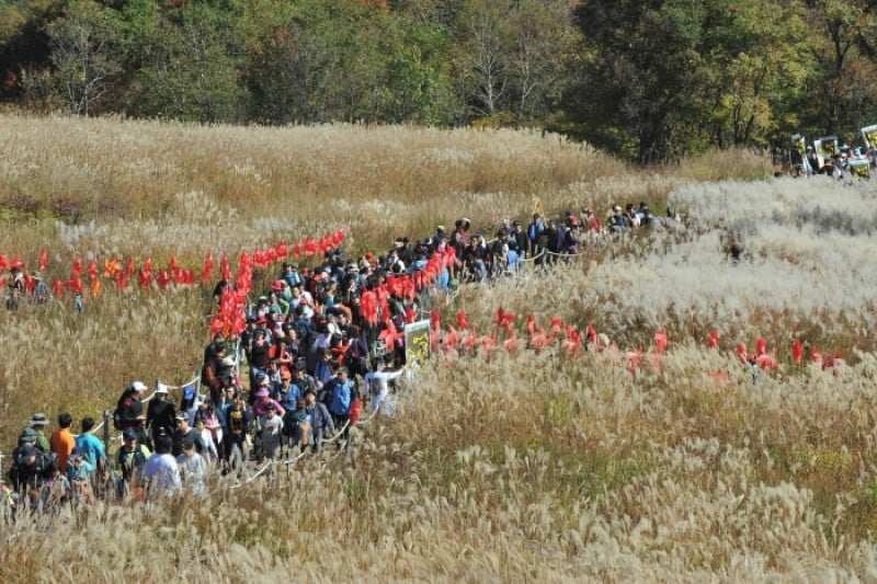 Sanjeonghosu Lake · Myeongseonsan Mountain Eulalia Festival 2016 (1/2)