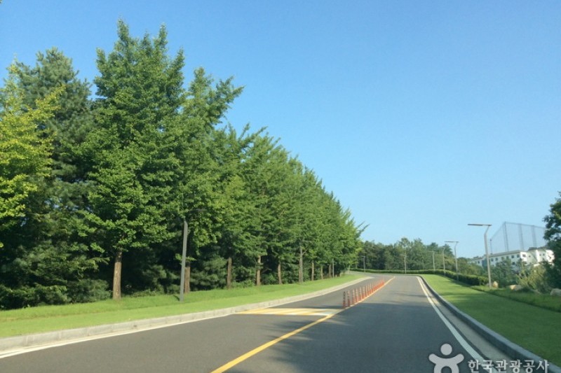 Jisan Country Club  (4/6)