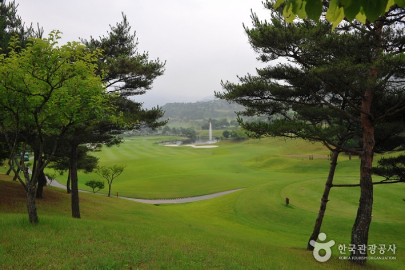 Elysian Gangchon Country Club  (6/7)