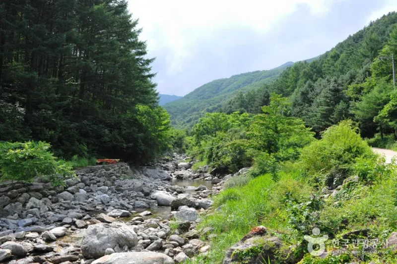 Myeongjisan Mountain County Park   (2/8)