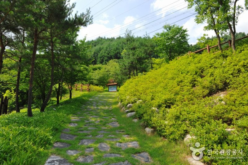 Myeongjisan Mountain County Park   (3/8)