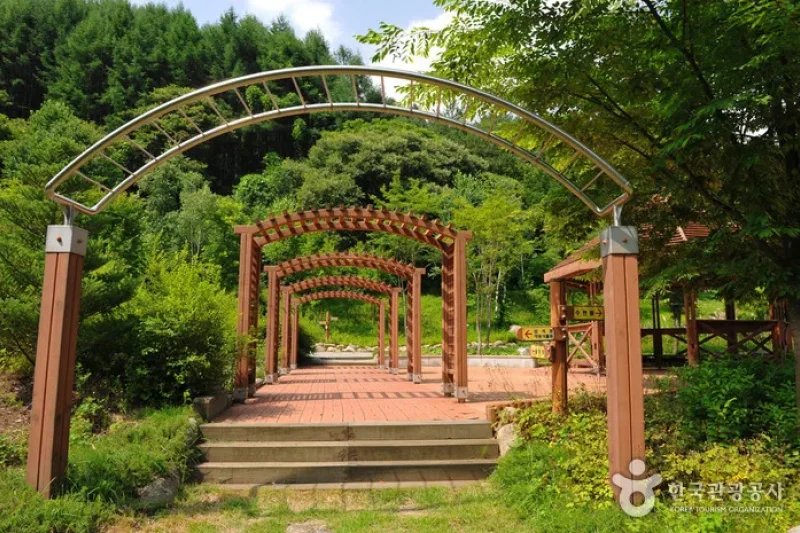 Myeongjisan Mountain County Park   (4/8)