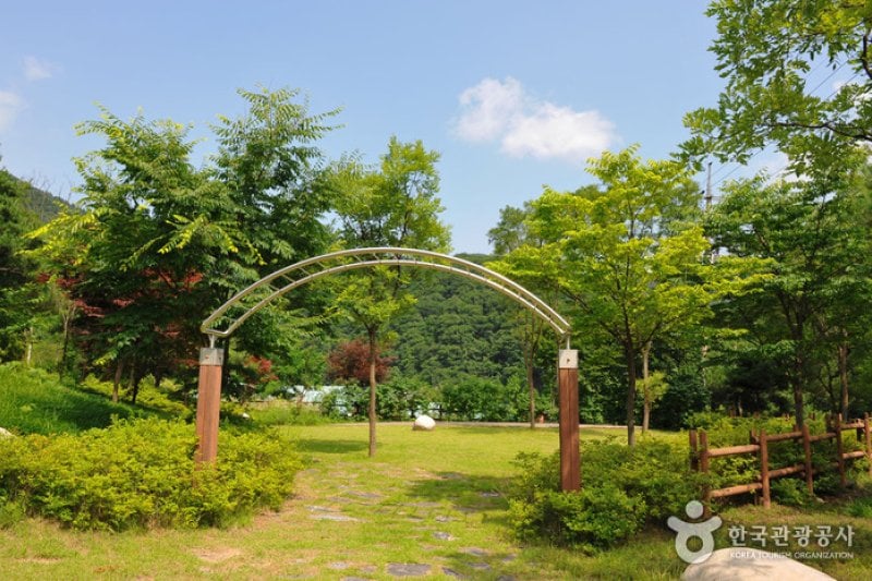 Myeongjisan Mountain County Park   (6/8)