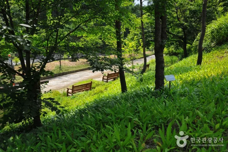Myeongjisan Mountain County Park   (7/8)