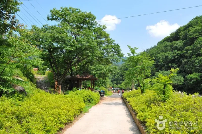 Myeongjisan Mountain County Park   (8/8)