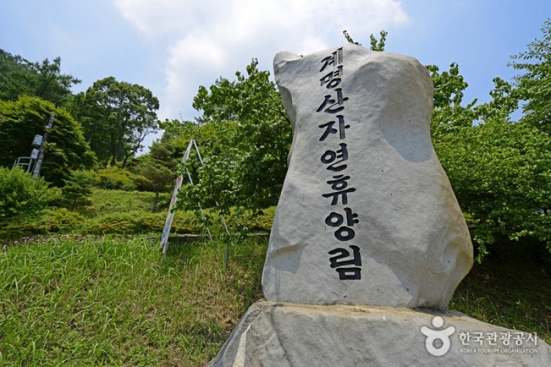 Gyemyeongsan Recreational Forest  (13/16)