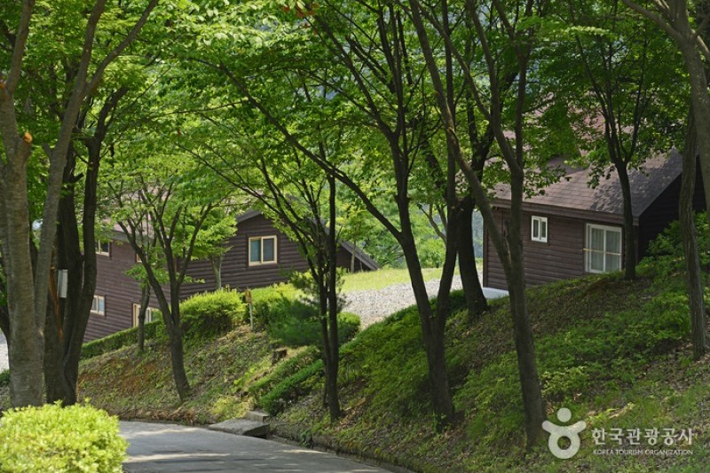 Gyemyeongsan Recreational Forest  (16/16)