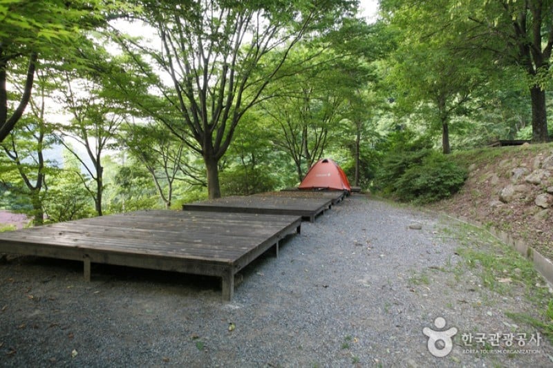 Jirisan National Park  (3/7)