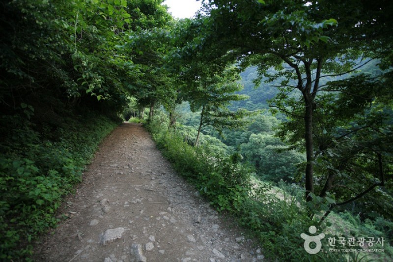 Jirisan National Park  (5/7)