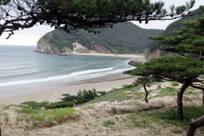 Daecheongdo Island  (45/48)