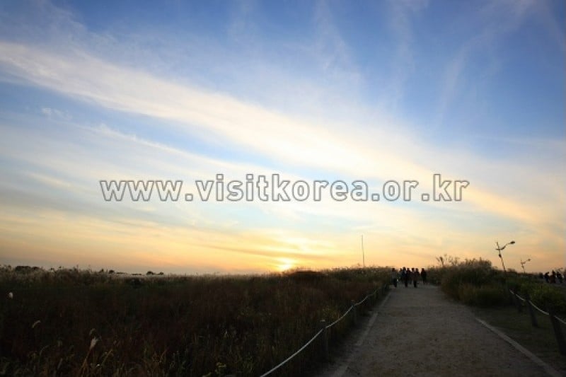 Haneul Park Sunrise Festival  (1/4)