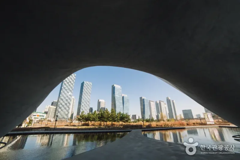 Tri-Bowl (트라이볼) (4/4)