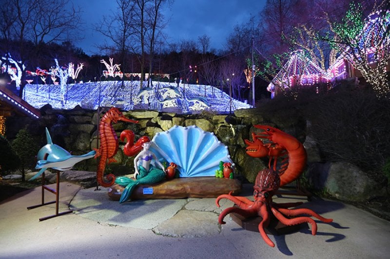 Cheongdo Provence Starlight Fairytale Town Lighting Festival (청도프로방스 별빛동화마을 빛축제) (3/12)