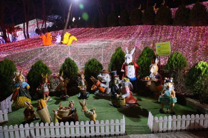 Cheongdo Provence Starlight Fairytale Town Lighting Festival (청도프로방스 별빛동화마을 빛축제) (4/12)