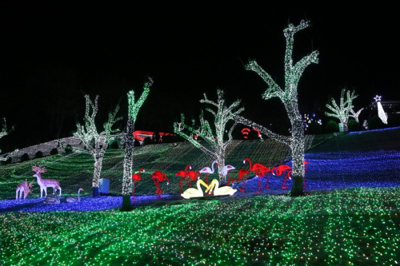 Cheongdo Provence Starlight Fairytale Town Lighting Festival (청도프로방스 별빛동화마을 빛축제) (7/12)