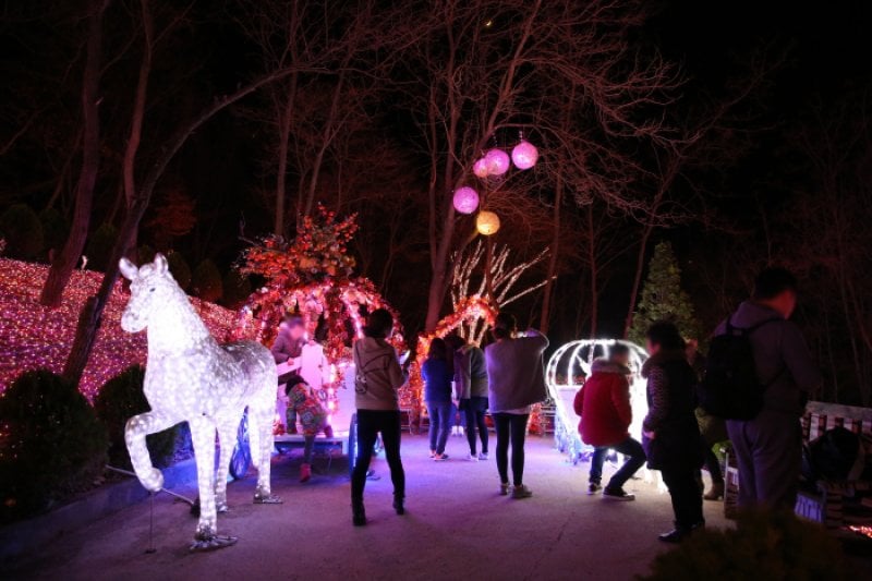 Cheongdo Provence Starlight Fairytale Town Lighting Festival (청도프로방스 별빛동화마을 빛축제) (8/12)