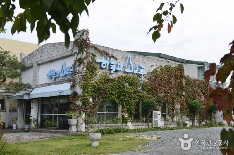 Haneulgwasonamu  (1/6)